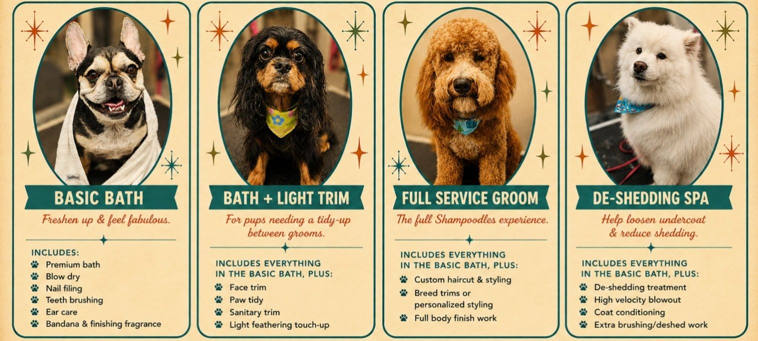 Shampoodles grooming services menu — Basic Bath, Bath + Light Trim, Full Service Groom, De-Shedding Spa and cat grooming, Springfield MO mobile dog groomer